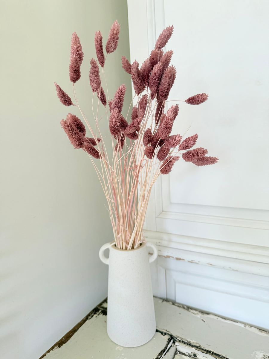 Dried Phalaris