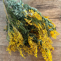 Naturally Dried Wattle / Mimosa / Acacia Flowers - Australian Native - natural yellow