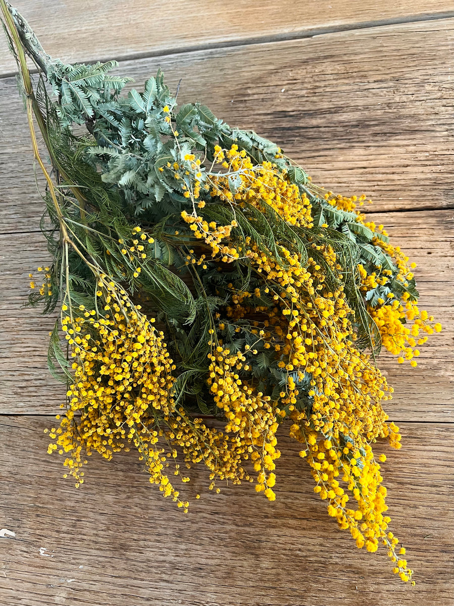 Naturally Dried Wattle / Mimosa / Acacia Flowers - Australian Native - natural yellow