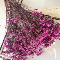 Preserved Crystal Grass / Caspea - Single variety bouquet