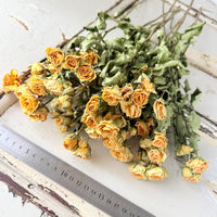 Dried Spray Mini Rose
