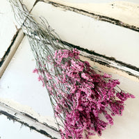 Preserved Crystal Grass / Caspea