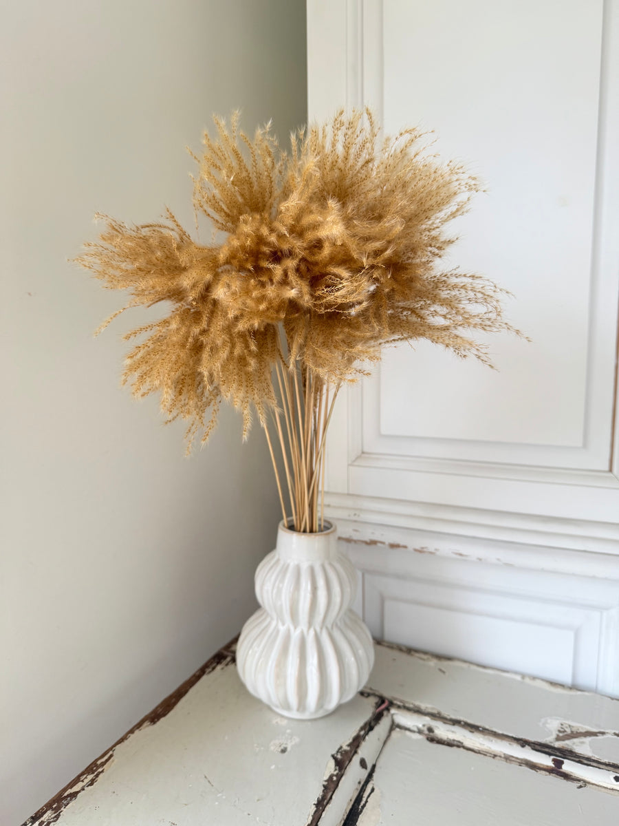 Naturally Dried Reed Canary Grass / Mischanthus Grass / Mini Pampas Grass