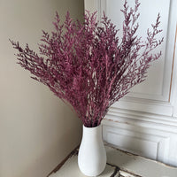 Soft / Vivid Hue Preserved Limonium | Misty | Sea Lavender