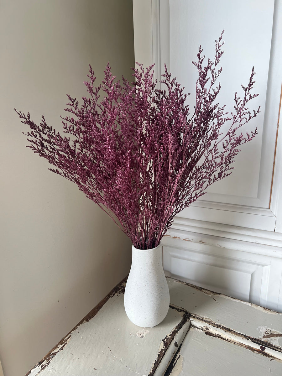 Soft / Vivid Hue Preserved Limonium | Misty | Sea Lavender