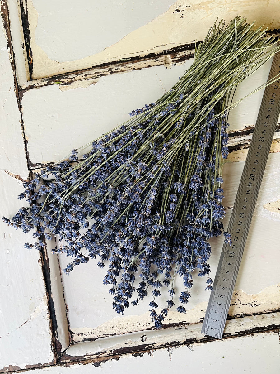 Naturally Dried Lavender bunch