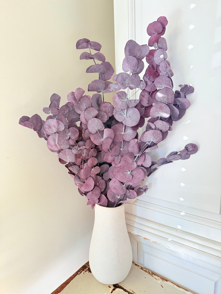 Preserved Eucalyptus / Gum