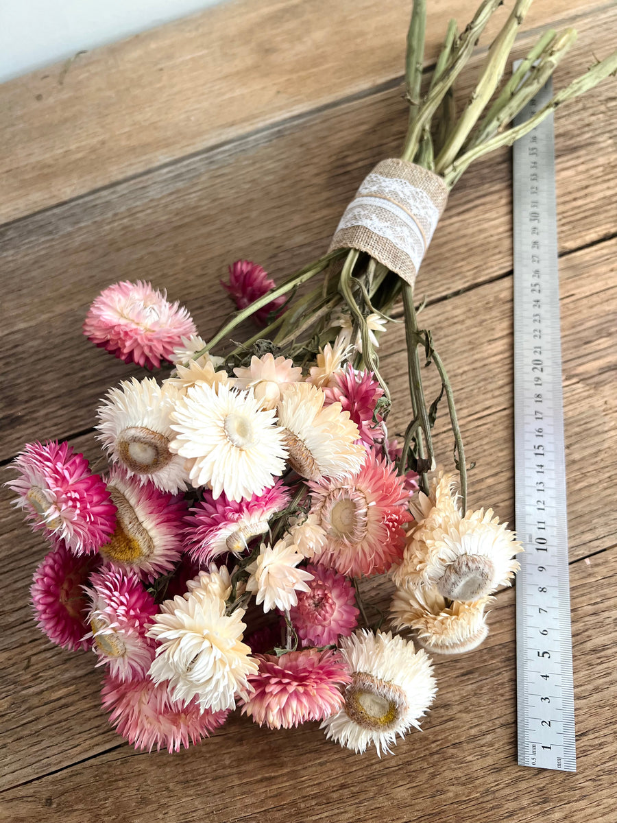 Sweet Daisy Bouquet [SM] dried flowers