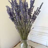 Naturally Dried Lavender bunch - blue purple