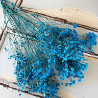 Preserved Baby's Breath