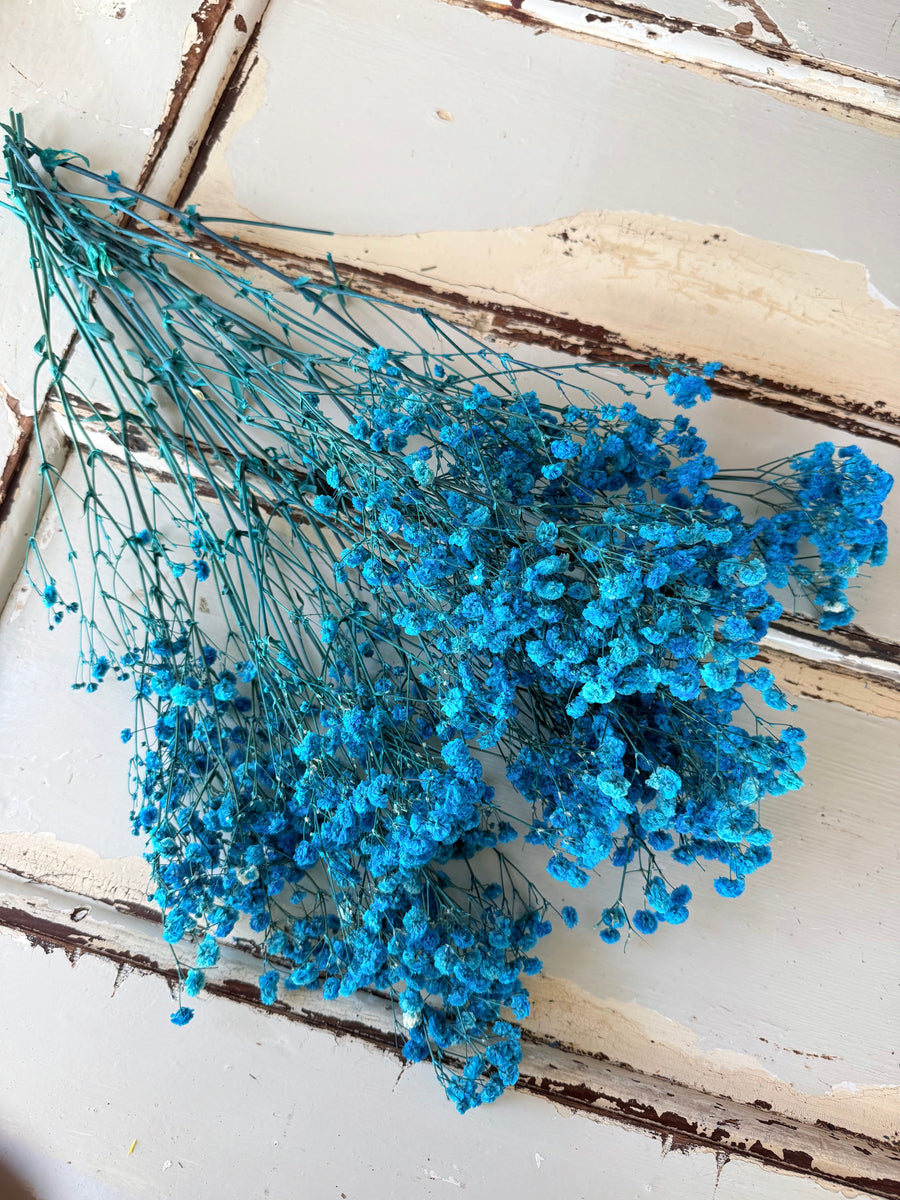 Preserved Baby's Breath