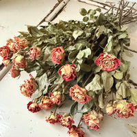 Dried Spray Mini Rose
