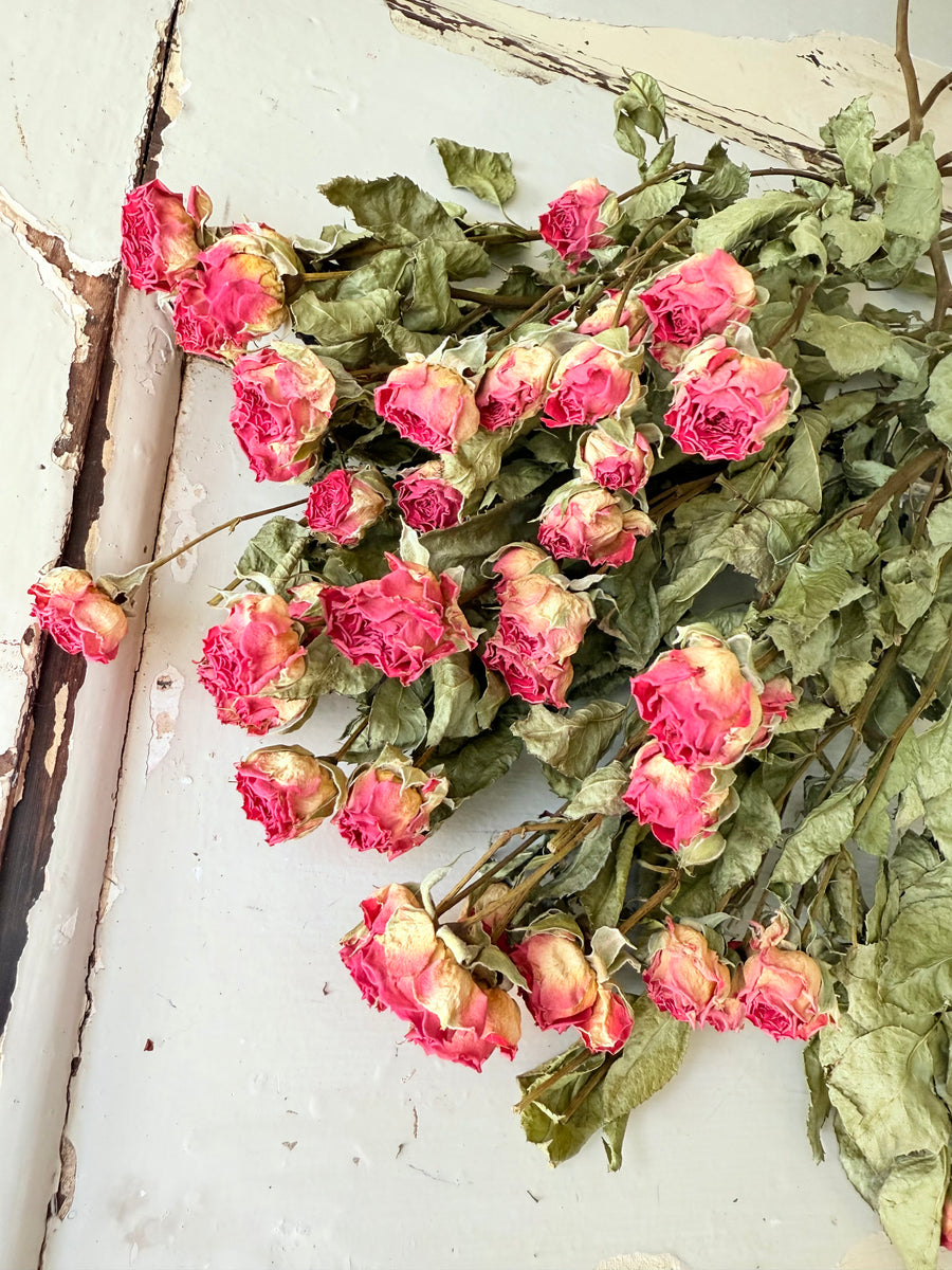 Naturally Dried Rose