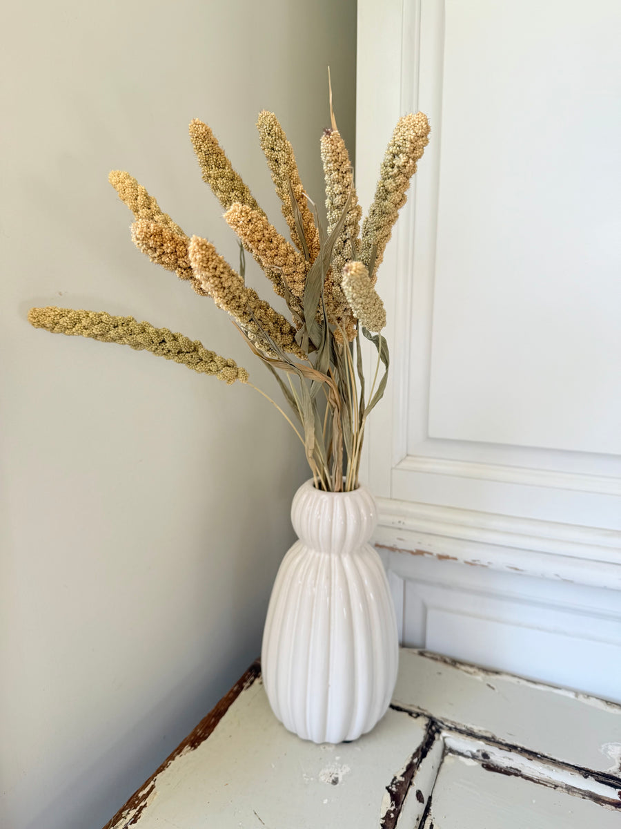 Dried Setaria / Foxtail Millet
