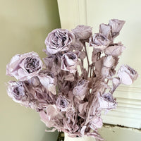 　[Colourful] Outlet & Samples