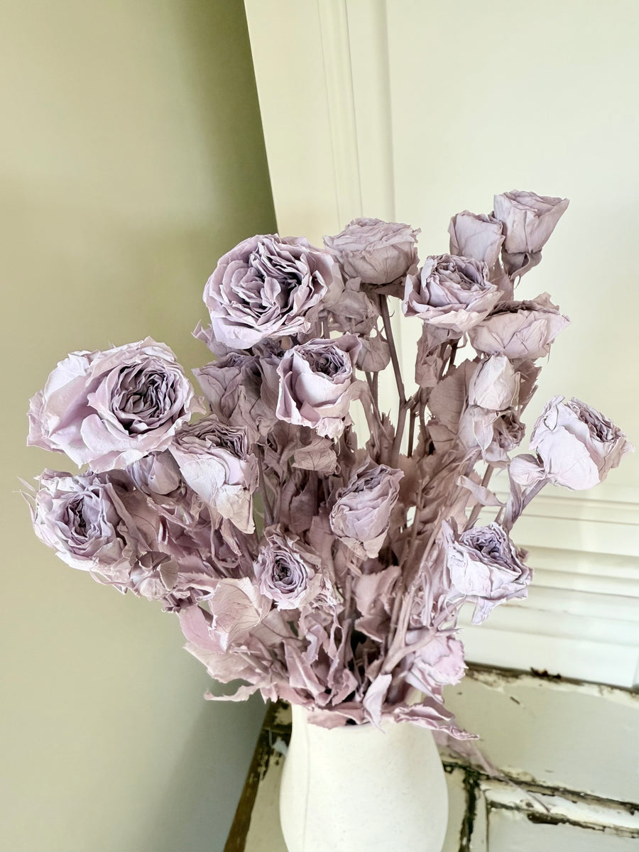 　[Colourful] Outlet & Samples