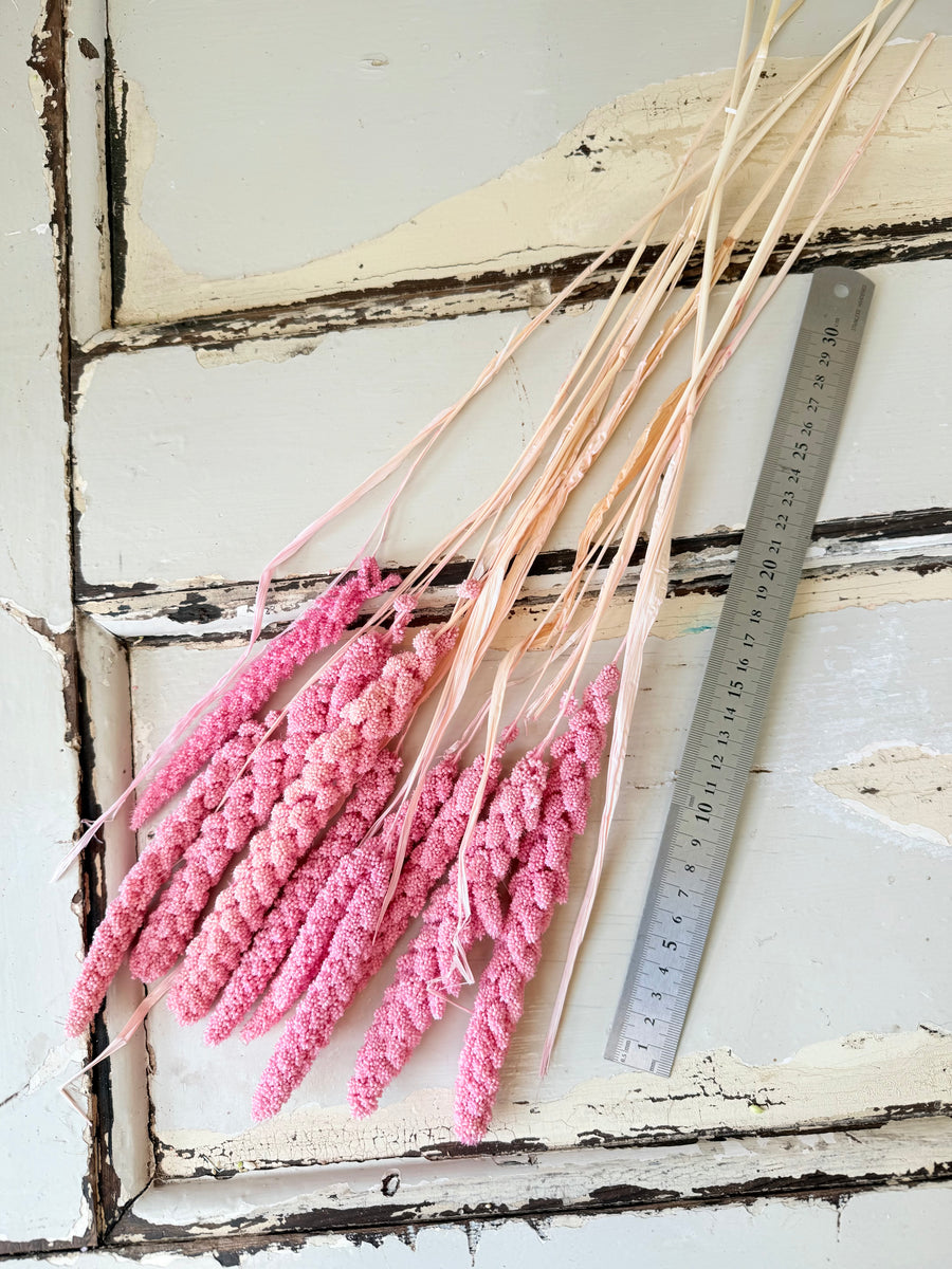 Dried Setaria / Foxtail Millet