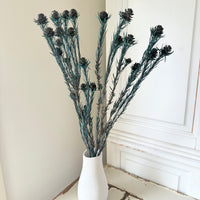 Outlet & Sample [flower stems / greenery]