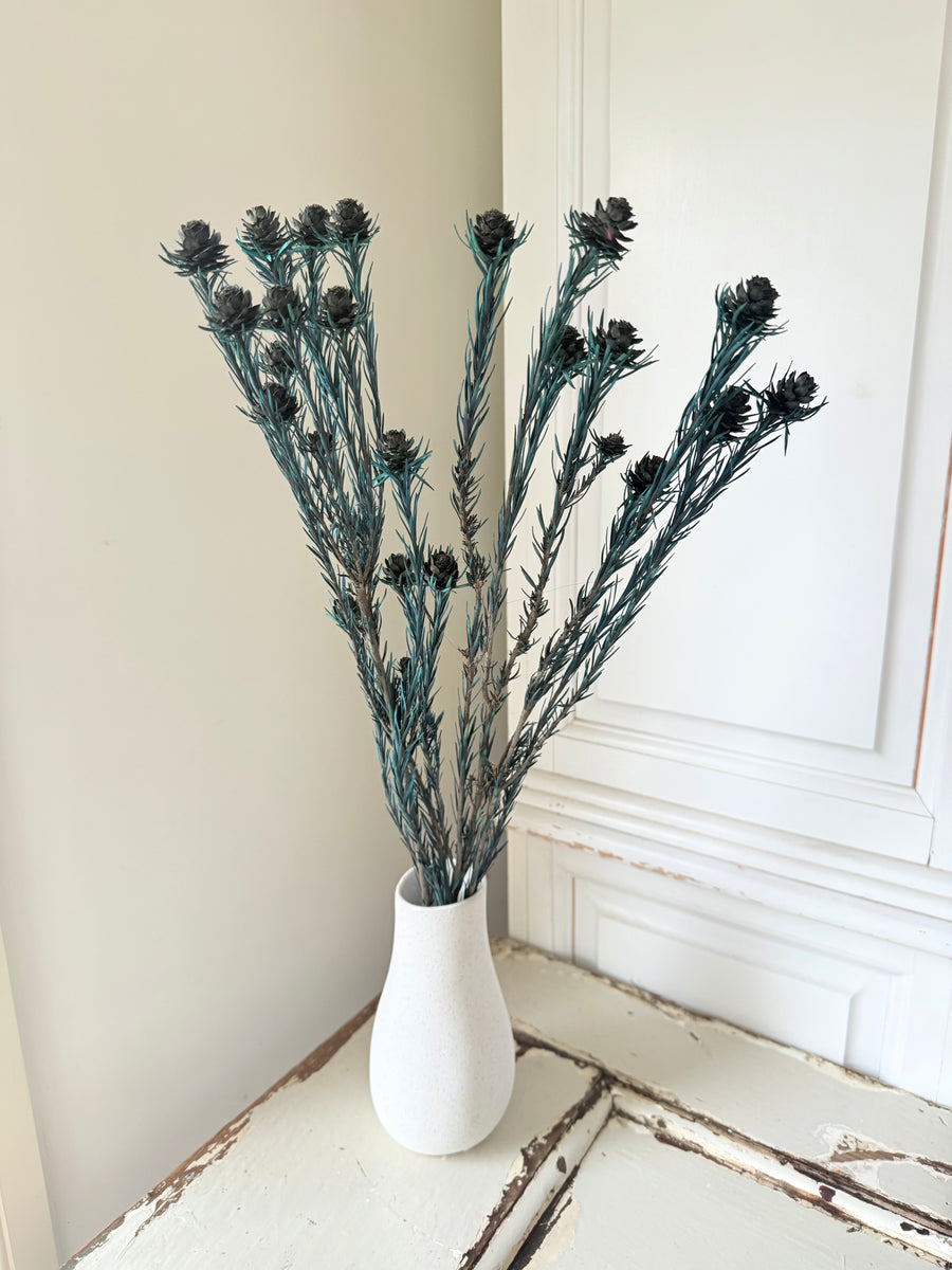 Outlet & Sample [flower stems / greenery]
