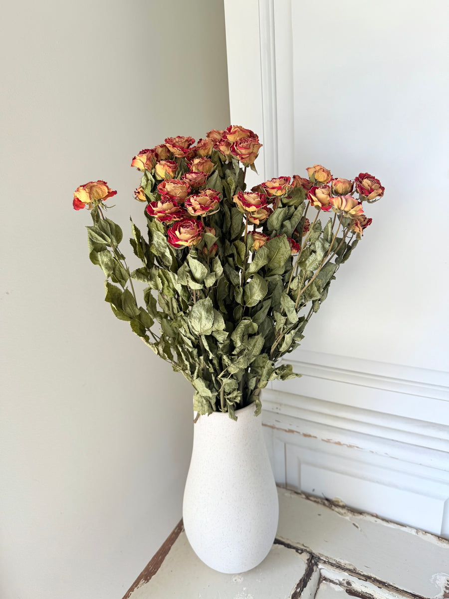 Naturally Dried Spray Rose