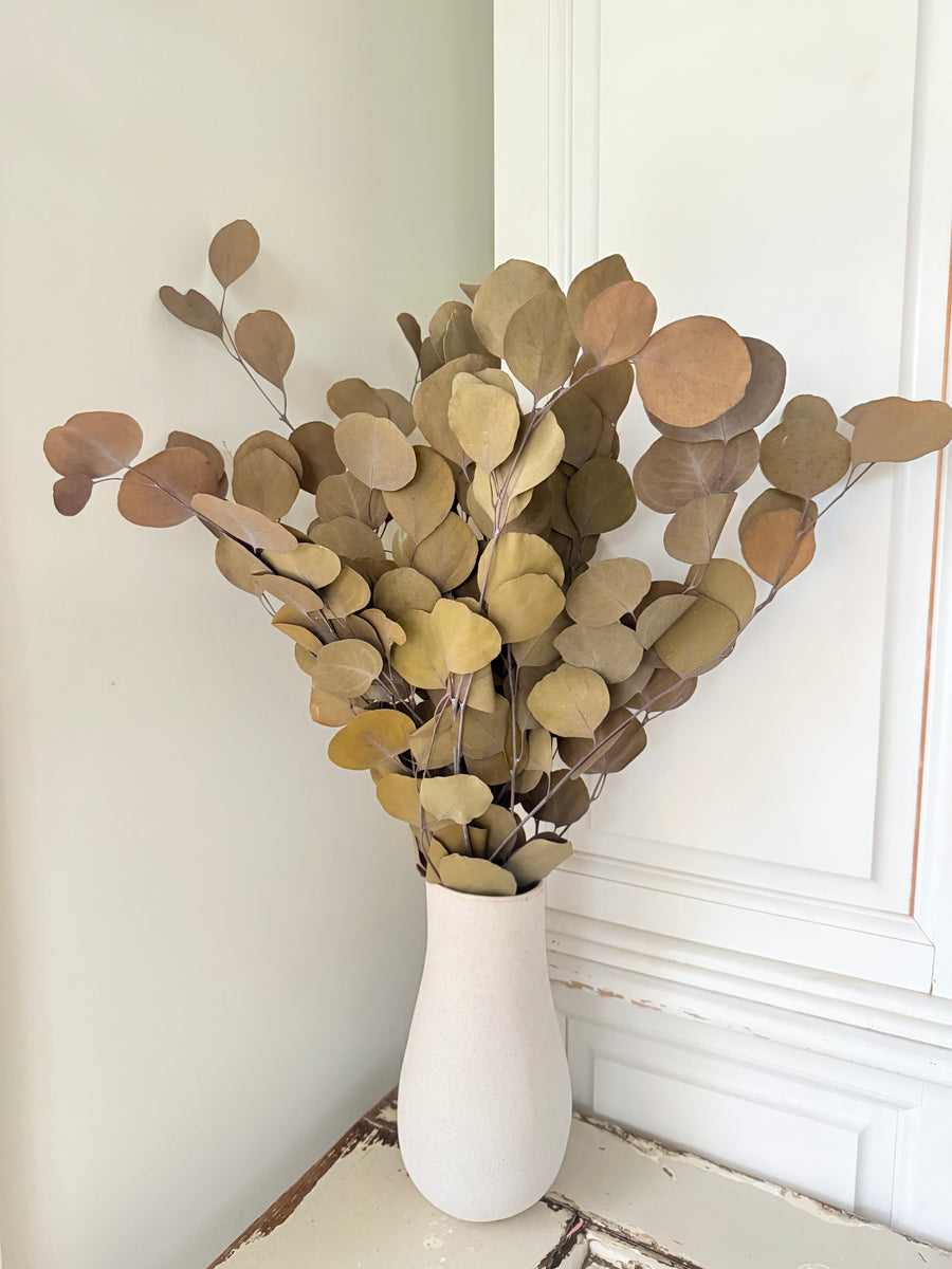 Preserved Eucalyptus / Gum