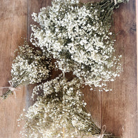 Everlasting Preserved Baby's Breath Bouquet [Mini/SM/ML]