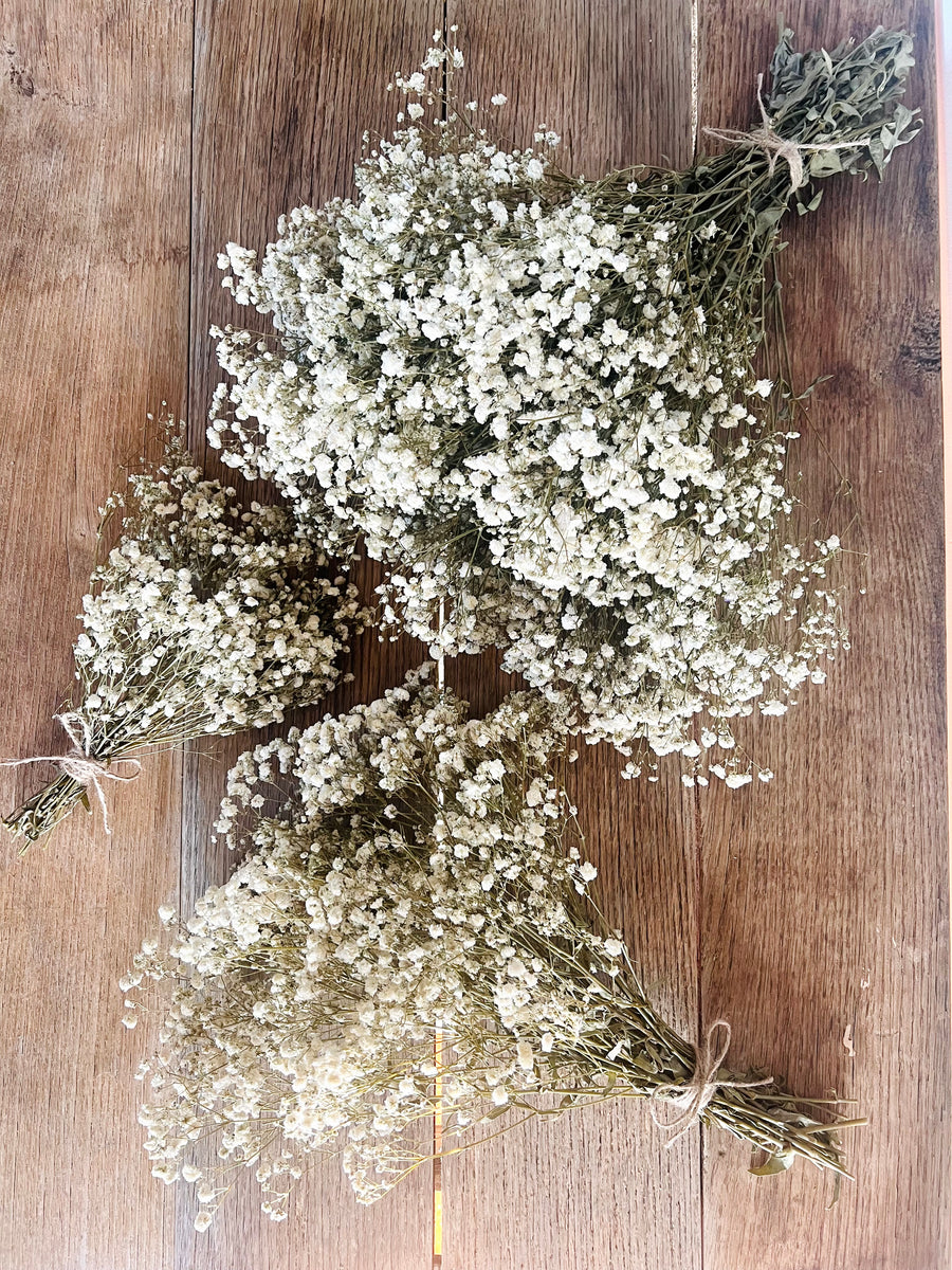 Everlasting Preserved Baby's Breath Bouquet [Mini/SM/ML]