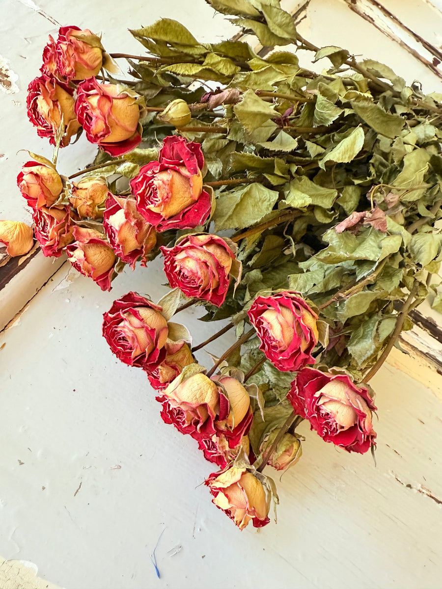 自然干燥玫瑰