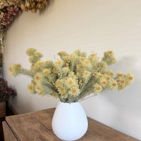 Butter Field Vase arrangement [2weekdays dispatch / L / All Around]