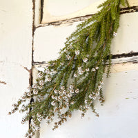 Naturally Dried / Preserved Tea Tree | Titree - natural green