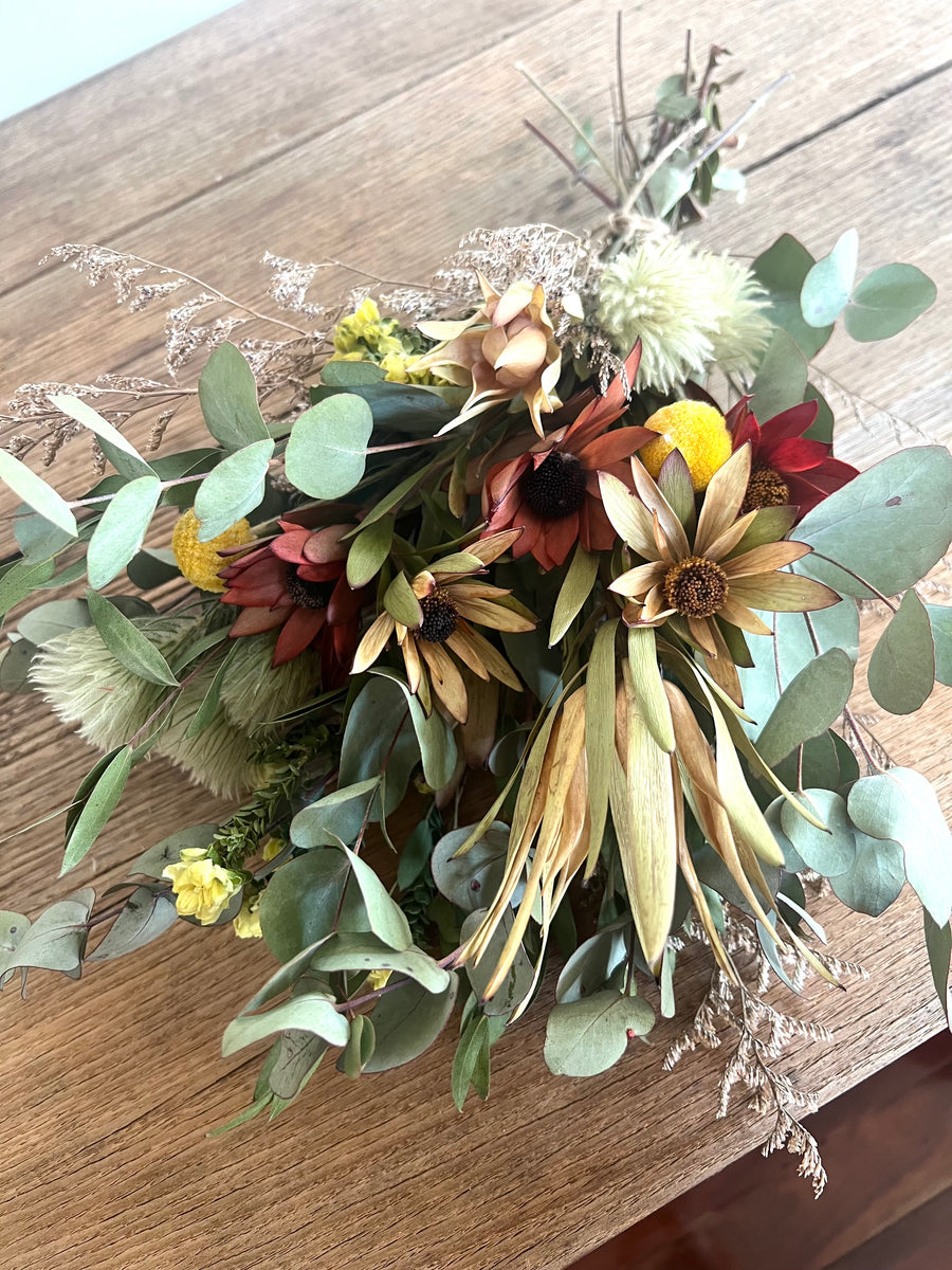 Leucadendron Sunshine Bouquet [Mini/SM/M] native