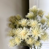 Naturally Dried Philyca Flowers - natural green beige