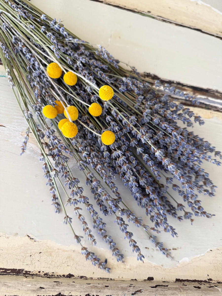 Dried Lavender Garden Bouquet - blue purple