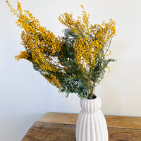 Naturally Dried Wattle / Mimosa / Acacia Flowers - Australian Native - natural yellow