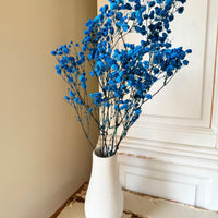 Preserved Baby's Breath