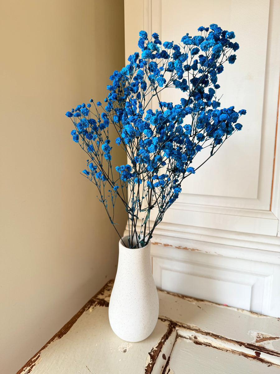 Preserved Baby's Breath