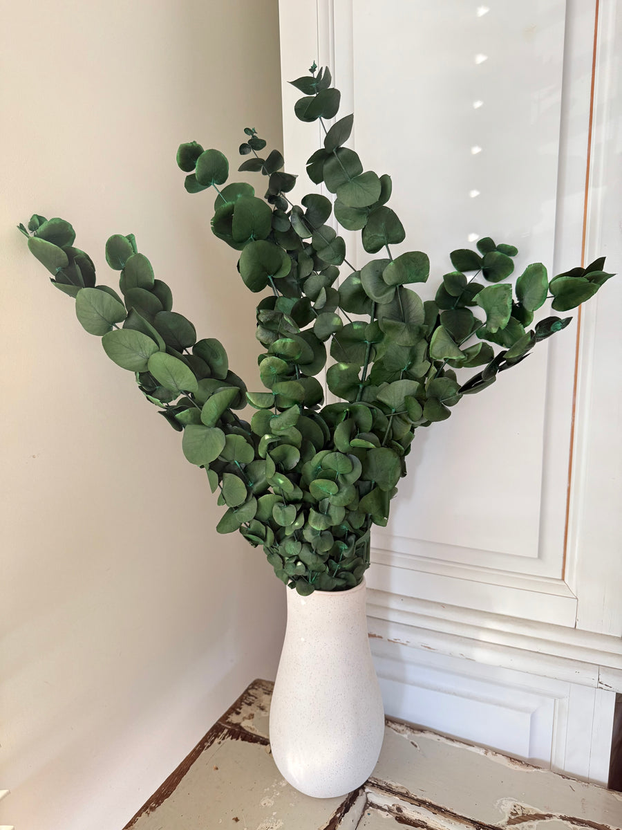 Preserved Eucalyptus / Gum