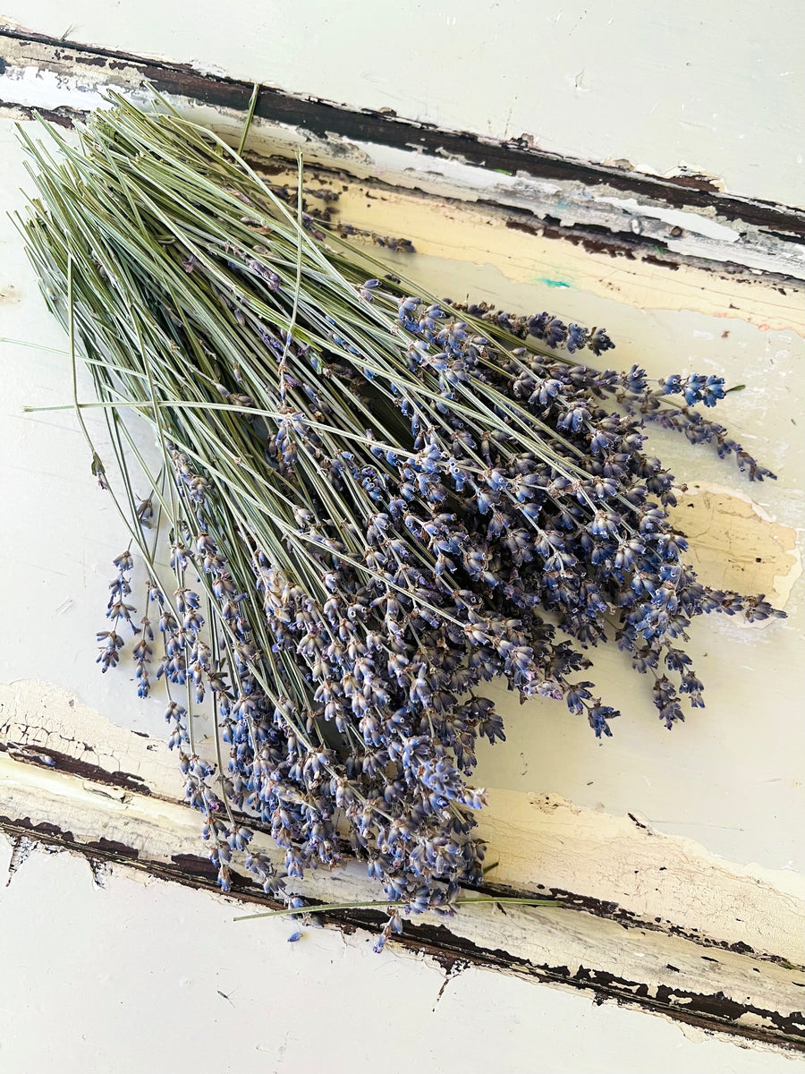 Naturally Dried Lavender bunch - blue purple