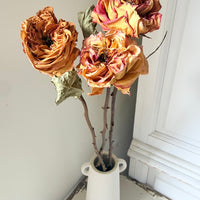 Dried Rose