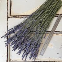 Naturally Dried Lavender bunch - blue purple