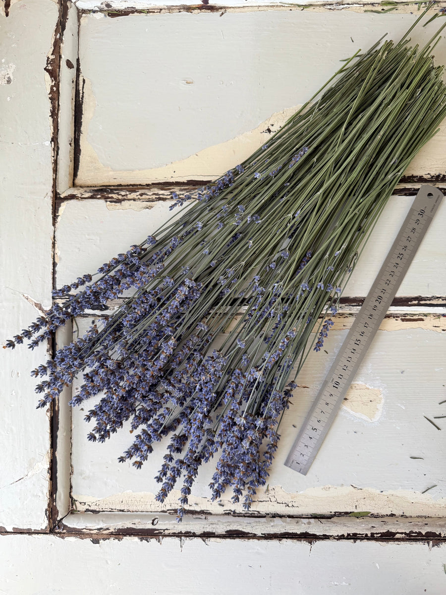 Naturally Dried Lavender bunch - blue purple