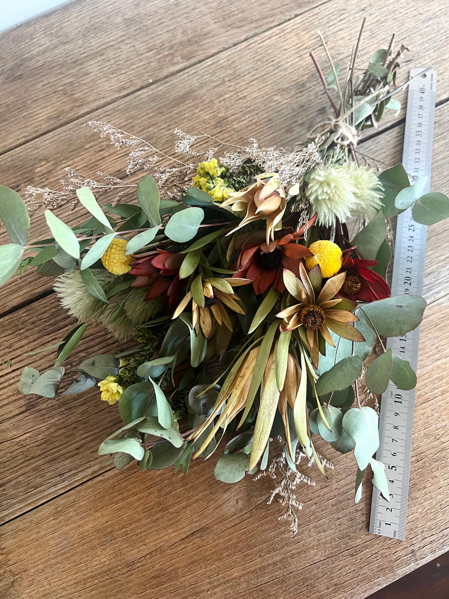 Leucadendron Sunshine Bouquet [Mini/SM/M] native