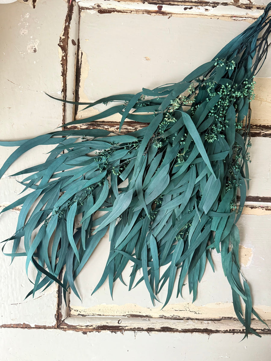 Preserved Eucalyptus / Gum