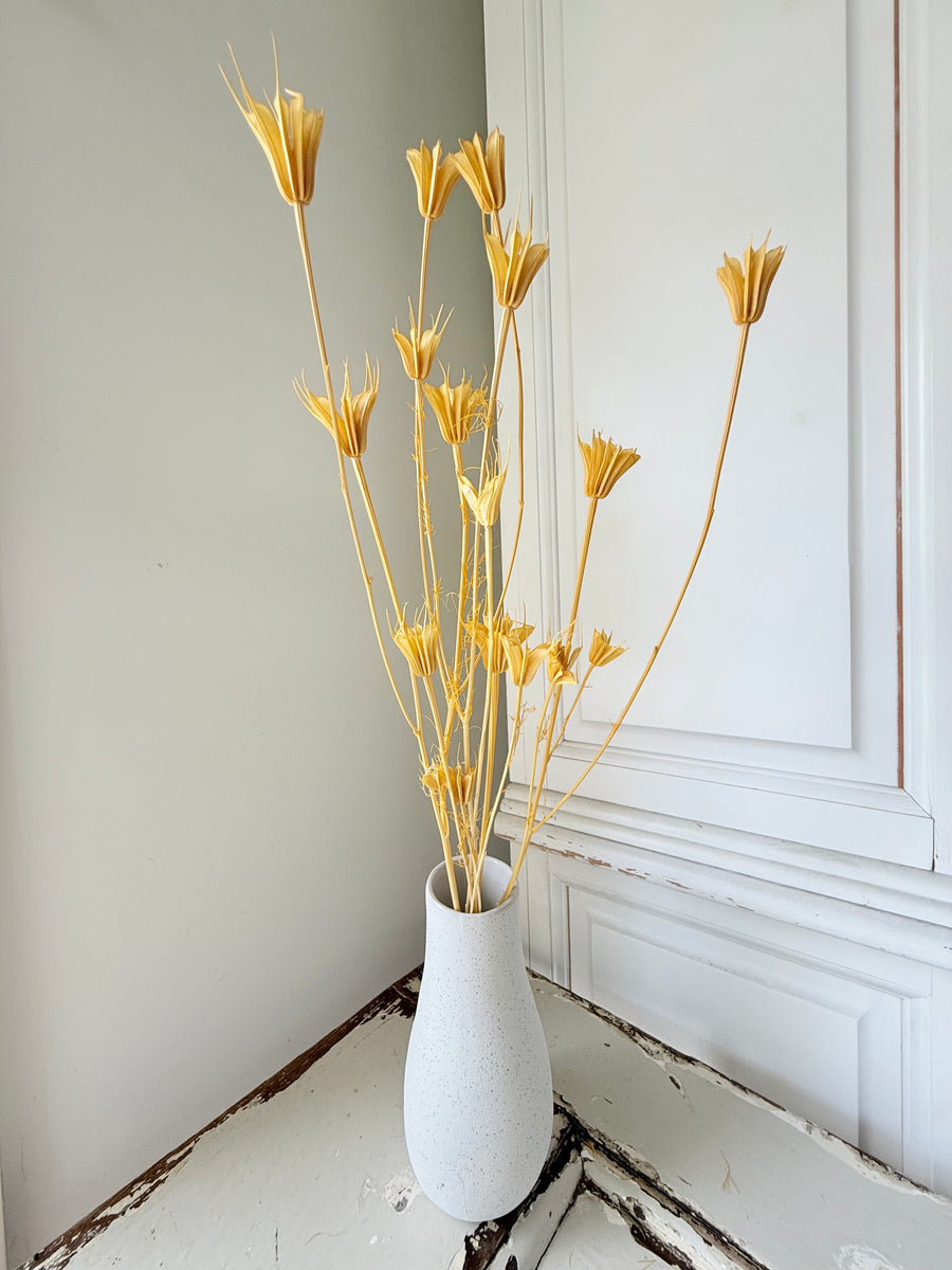 Dried Nigella Flower