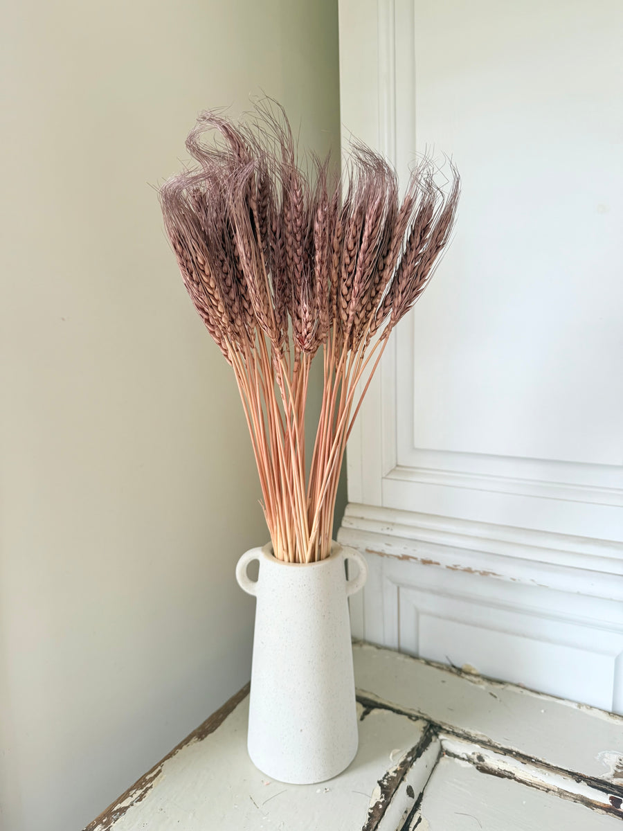 Dried Wheat
