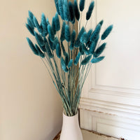 Dried Bunny Tail / Lagurus Ovatus