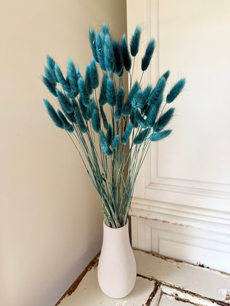 Dried Bunny Tail / Lagurus Ovatus