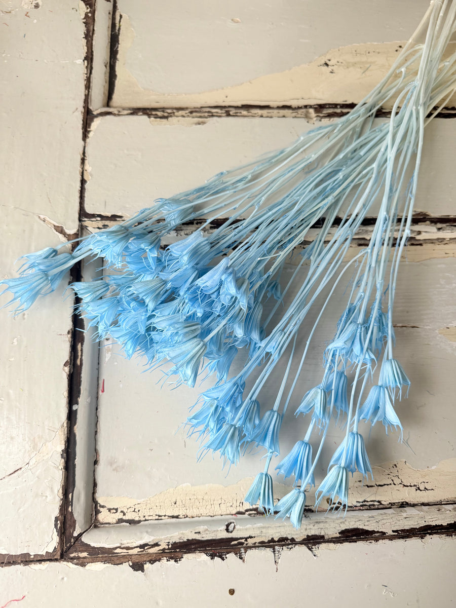 Naturally Dried / Coloured Nigella Flower