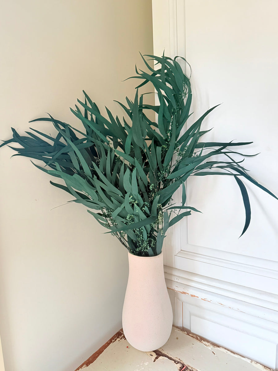 Preserved Eucalyptus / Gum