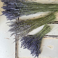 Naturally Dried Lavender bunch - blue purple